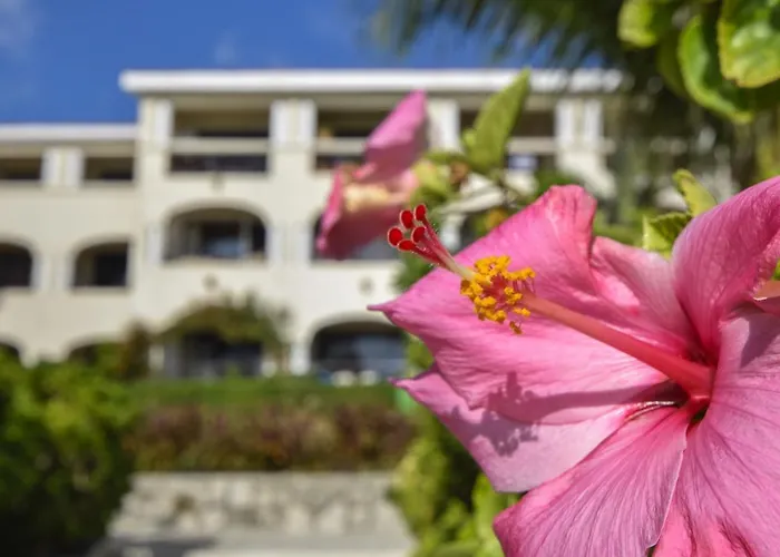 Our Popular 1 Bedr Oceanfront At Xaman Ha Why Xh7116 Hotel *